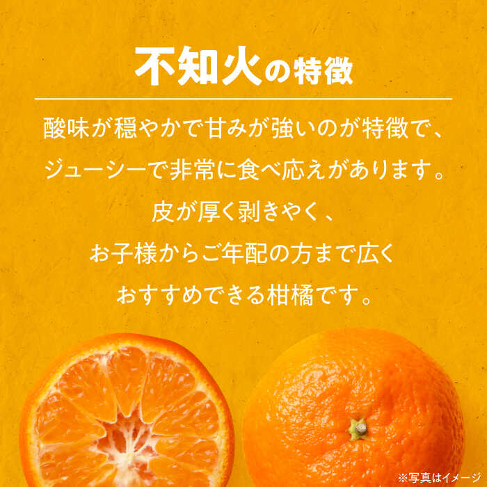 【ふるさと納税】【先行予約】【2026年3月上旬から順次発送】不知火 5kg | 人気 おすすめ ランキング おいしい 甘い 果物 フルーツ みかん ミカン 大洲市/玉川農園[AGBC003] 10000 10000円 以上 サムネイル2