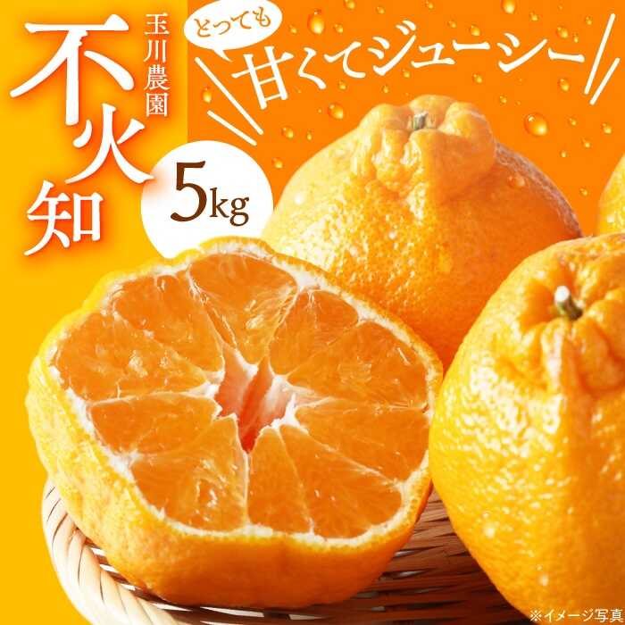 【先行予約】【2026年3月上旬から順次発送】不知火 5kg | 人気 おすすめ ランキング おいしい 甘い 果物 フルーツ みかん ミカン 大洲市/玉川農園[AGBC003] 10000 10000円 以上
