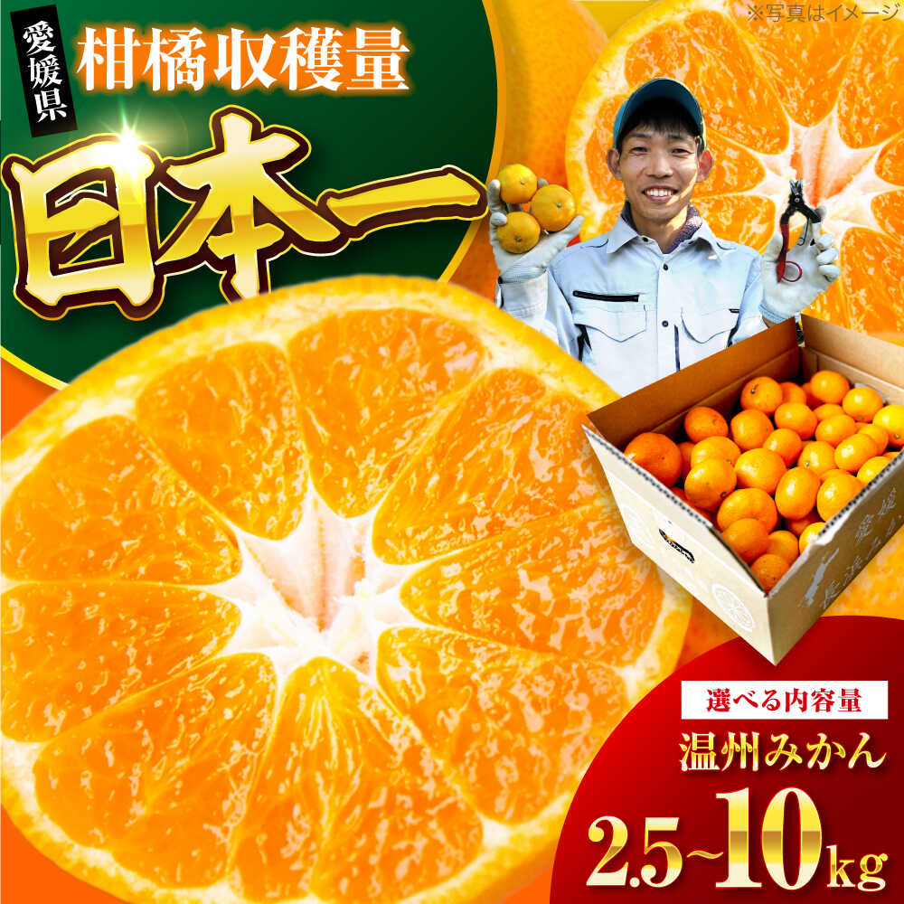 【12月上旬から順次発送】 【選べる容量】温州みかん 2.5～10kg （2S～2L混合サイズ） 大洲市/玉川農園[AGBC005] 先行予約 みかん 蜜柑 温州みかん 果物 くだもの フルーツ 愛媛県産 大洲市産 産地直送 おすすめ 人気 お取り寄せ 送料無料 贈答 ギフト