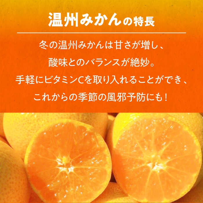 【ふるさと納税】【12月上旬より順次発送】 フルーツセット 温州みかん 2.5kg グリーンキウイ 2.5kg（20〜25玉） 大洲市/玉川農園[AGBC010] 先行予約 みかん キウイ キウイフルーツ 果物 くだもの フルーツ 大洲産 産地直送 おすすめ 人気 お取り寄せ 送料無料 贈答 ギフト サムネイル2