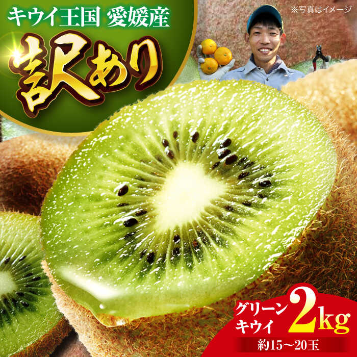 【先行予約】【11月中旬から順次発送】【訳あり】 グリーンキウイ 2kg （約15玉から20玉） 栄養たっぷり！大洲市/玉川農園[AGBC011] 先行予約 キウイ キウイフルーツ 果物 くだもの フルーツ 愛媛県産 大洲市産 産地直送 おすすめ 人気