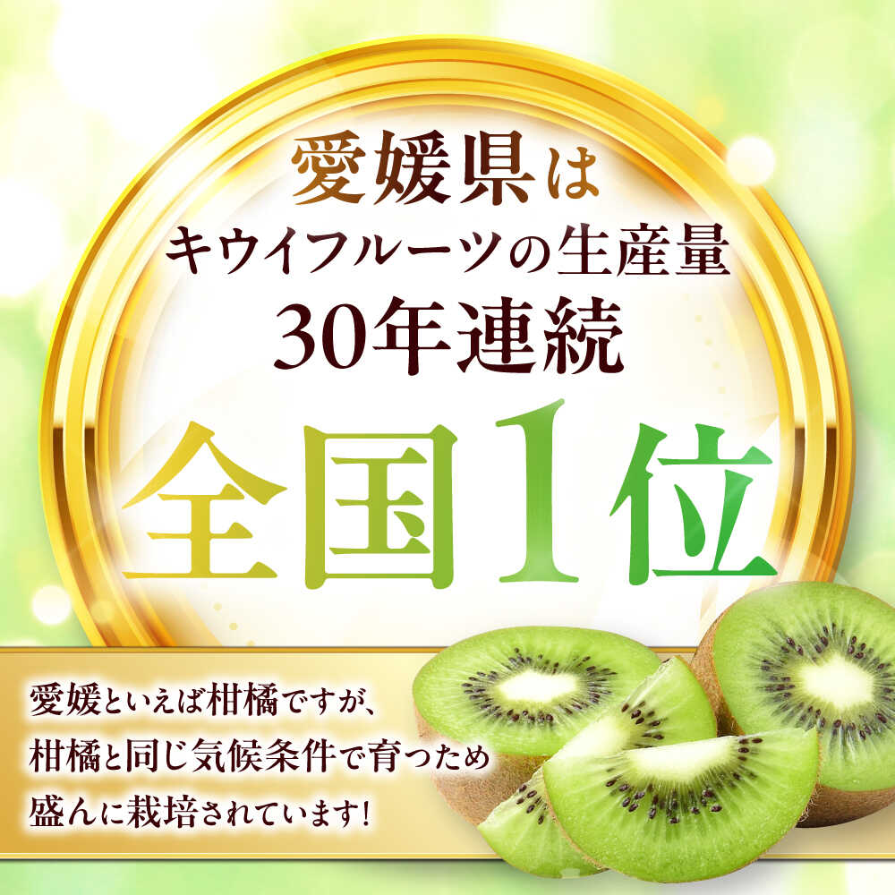 【ふるさと納税】【先行予約】【2025年12月中旬から2026年1月下旬にかけて順次発送】 キウイフルーツ （20個〜27個入り） 先行予約 送料無料 国産 愛媛県産 家庭用 旬 大洲市/幸野観光なし園[AGBD004] キウイ キウイフルーツ 果物 くだもの フルーツ 大洲市産 おすすめ 人気 サムネイル3