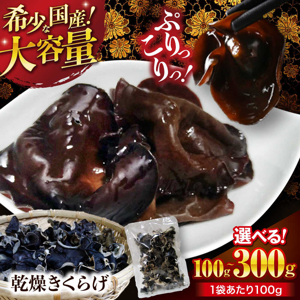 きくらげ【希少な国産品】【選べる！大容量】大洲産 乾燥きくらげ （100g〜300g） 佃煮 中華 炒め物 スープ 食物繊維 ビタミンD 鉄分 きくらげ キクラゲ 木耳 乾燥きくらげ 愛媛県産 大洲市産 おすすめ 人気 お取り寄せ 大洲市/大洲市森林組合[AGBK008]