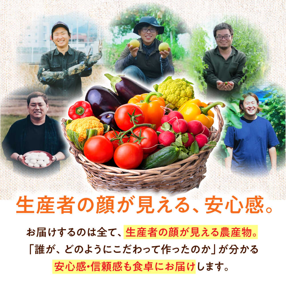 【ふるさと納税】【全6回定期便】 旬の 野菜 定期便 | 人気 おすすめ ランキング おいしい 新鮮 セット 果物 詰め合わせ 野菜セット おまかせ 国産 愛媛県産 季節の野菜 健康 ヘルシー 採れたて 大洲市/大洲市青年農業者協議会[AGBL001] 60000 60000円 以上 大洲市 - 画像2