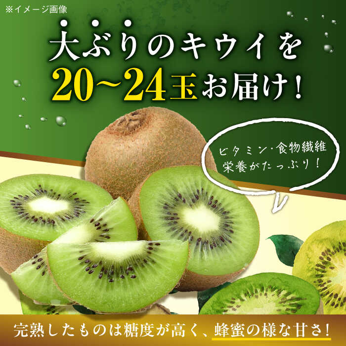 【ふるさと納税】【先行予約】【2026年1月上旬より順次発送】甘熟 キウイ フルーツ 20 から 24玉（ 3L から 4L サイズ） 大洲市/沢井青果[AGBN001] キウイ 果物 くだもの フルーツ 愛媛県産 大洲市産 産地直送 おすすめ 人気 お取り寄せ 送料無料 贈答 ギフト サムネイル2