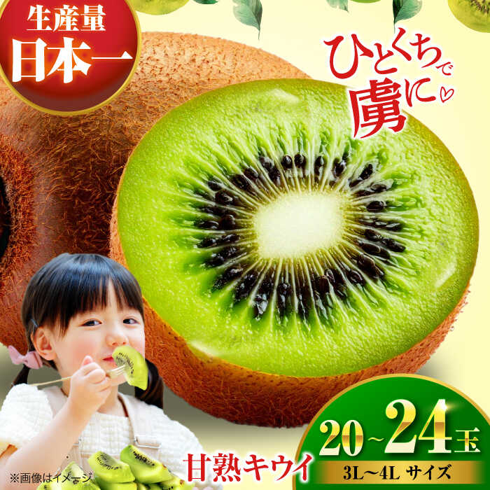 【先行予約】【2026年1月上旬より順次発送】甘熟 キウイ フルーツ 20 から 24玉（ 3L から 4L サイズ） 大洲市/沢井青果[AGBN001] キウイ 果物 くだもの フルーツ 愛媛県産 大洲市産 産地直送 おすすめ 人気 お取り寄せ 送料無料 贈答 ギフト
