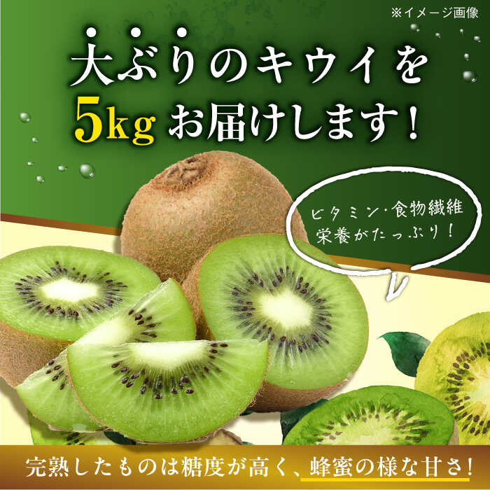 【ふるさと納税】【11月以降順次発送】 国産 キウイ フルーツ 約 5kg キューイ 果物 くだもの きうい キウィ大洲市/沢井青果[AGBN002] キウイ キウイフルーツ 果物 くだもの フルーツ 愛媛県産 大洲市産 産地直送 おすすめ 人気 お取り寄せ 送料無料 贈答 ギフト サムネイル2