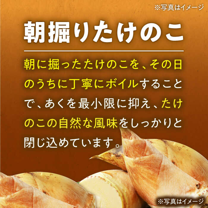 【ふるさと納税】【先行予約】【4月中旬から順次配送】たけのこ 朝堀りたけのこの水煮（1袋300から350g）3袋セット 大洲市/沢井青果有限会社[AGBN011] たけのこ 筍 タケノコ 水煮 野菜 やさい 新鮮野菜 愛媛県産 大洲市産 産地直送 おすすめ 人気 煮物 筑前煮 炊き込みご飯 - 画像2