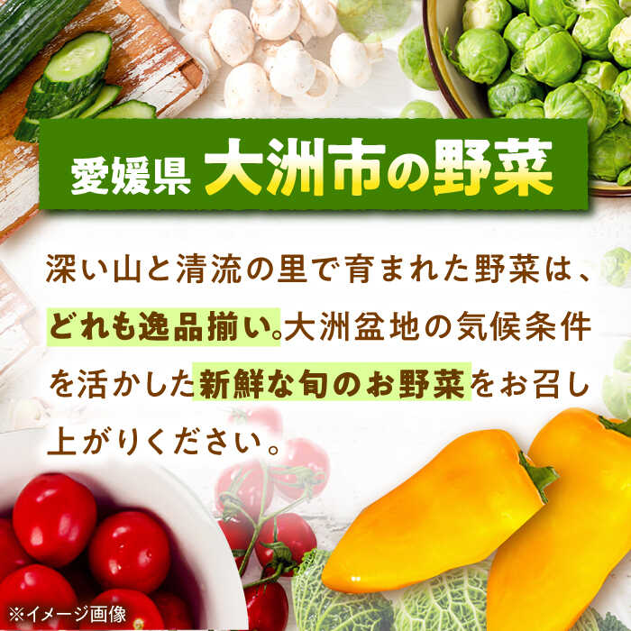 【ふるさと納税】【先行予約】【4月中旬から順次配送】たけのこ 朝堀りたけのこの水煮（1袋300から350g）3袋セット 大洲市/沢井青果有限会社[AGBN011] たけのこ 筍 タケノコ 水煮 野菜 やさい 新鮮野菜 愛媛県産 大洲市産 産地直送 おすすめ 人気 煮物 筑前煮 炊き込みご飯 - 画像3