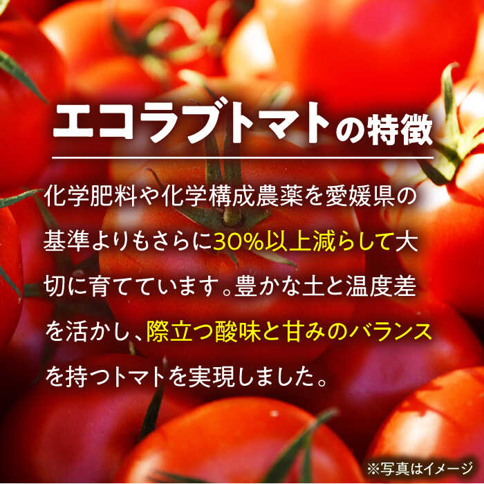 【ふるさと納税】トマト【先行予約】【5月上旬から順次発送】エコラブトマトM〜2Lサイズ（20〜24玉）約3.5kg 大洲市/沢井青果有限会社[AGBN012] トマト 完熟トマト 料理 簡単 時短 野菜 やさい 愛媛県産 大洲市産 産地直送 おすすめ 人気 お取り寄せ 送料無料 贈答 ギフト - 画像2