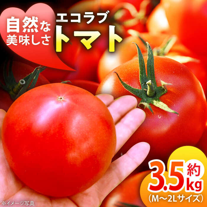 トマト【先行予約】【5月上旬から順次発送】エコラブトマトM〜2Lサイズ（20〜24玉）約3.5kg 大洲市/沢井青果有限会社[AGBN012] トマト 完熟トマト 料理 簡単 時短 野菜 やさい 愛媛県産 大洲市産 産地直送 おすすめ 人気 お取り寄せ 送料無料 贈答 ギフト
