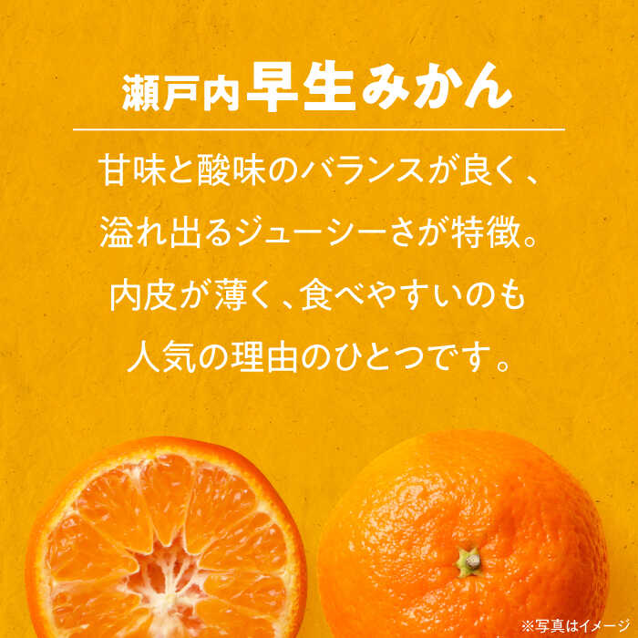 【ふるさと納税】【先行予約】【11月初旬より順次発送】早生みかん 富有柿 各3kg 詰合せセット 大洲市/沢井青果[AGBN019] 柿 かき カキ 果物 くだもの フルーツ 愛媛県産 大洲市産 産地直送 おすすめ 人気 お取り寄せ 送料無料 贈答 ギフト サムネイル3