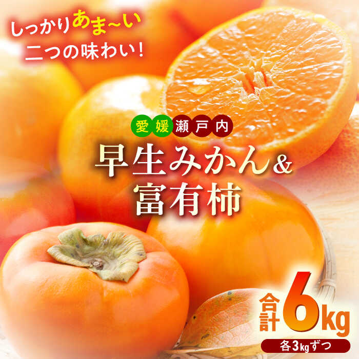 【先行予約】【11月初旬より順次発送】早生みかん 富有柿 各3kg 詰合せセット 大洲市/沢井青果[AGBN019] 柿 かき カキ 果物 くだもの フルーツ 愛媛県産 大洲市産 産地直送 おすすめ 人気 お取り寄せ 送料無料 贈答 ギフト