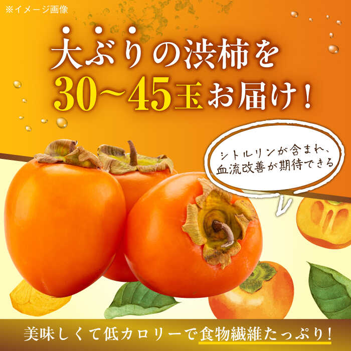 【ふるさと納税】【11月上旬より順次発送】 干し柿 用 渋柿！ あたご柿 10kg (Mから2L 約30玉から45玉) 大洲市/沢井青果[AGBN022] 干し柿 ほしがき 柿 かき 果物 くだもの フルーツ 渋柿 渋がき 愛媛県産 大洲市産 産地直送 おすすめ 人気 お取り寄せ 送料無料 贈答 ギフト サムネイル2