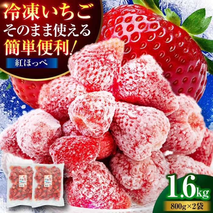 冷凍いちご 紅ほっぺ 1.6 kg（ 800g × 2 パック） | 人気 おすすめ ランキング おいしい 甘い 大洲市/沢井青果[AGBN041] 10000 10000円 以上
