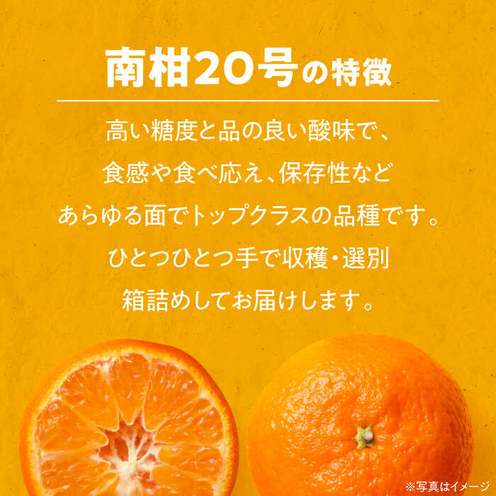 【ふるさと納税】【12月上旬から順次発送】 温州みかん 南柑20号 約4kg 【まごころ手選り手詰め】 大洲市/カームシトラス[AGBW002] 先行予約 みかん ミカン 蜜柑 果物 くだもの フルーツ 愛媛県産 大洲市産 産地直送 おすすめ 人気 お取り寄せ 送料無料 贈答 ギフト サムネイル2