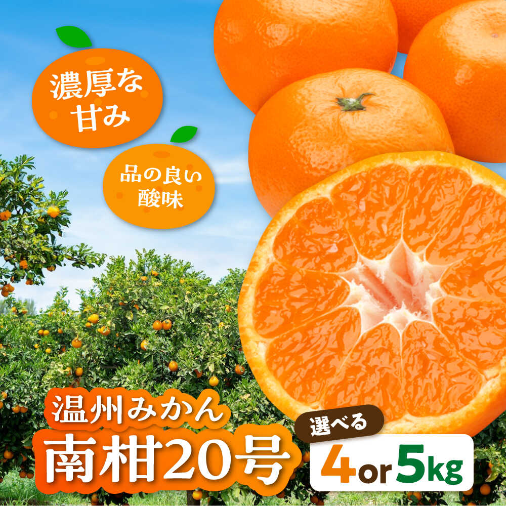 【12月上旬から順次発送】 【選べる容量】温州みかん 南柑20号 約4～5kg 【まごころ手選り手詰め】 大洲市/カームシトラス[AGBW002] 先行予約 みかん ミカン 蜜柑 果物 フルーツ 愛媛県産 大洲市産 産地直送 おすすめ 人気 お取り寄せ 送料無料 贈答 ギフト