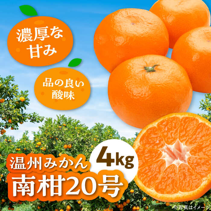 【ふるさと納税】【12月上旬から順次発送】 温州みかん 南柑20号 約4kg 【まごころ手選り手詰め】 大洲市/カームシトラス[AGBW002] 先行予約 みかん ミカン 蜜柑 果物 くだもの フルーツ 愛媛県産 大洲市産 産地直送 おすすめ 人気 お取り寄せ 送料無料 贈答 ギフト