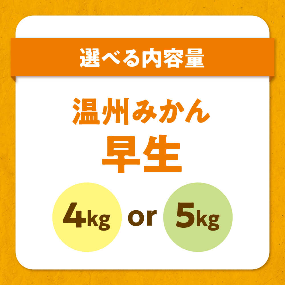 【ふるさと納税】【先行予約】【11月から順次発送】【選べる容量】温州 みかん 早生 約4～5kg 大洲市/カームシトラス[AGBW003] 先行予約 みかん 蜜柑 温州みかん 果物 くだもの フルーツ 愛媛県産 大洲市産 産地直送 おすすめ 人気 お取り寄せ 送料無料 贈答 ギフト サムネイル2