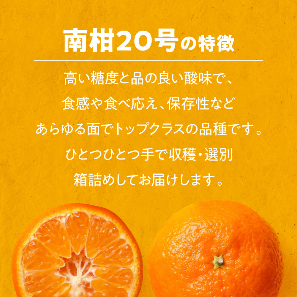 【ふるさと納税】【先行予約】【11月から順次発送】【選べる容量】温州 みかん 早生 約4～5kg 大洲市/カームシトラス[AGBW003] 先行予約 みかん 蜜柑 温州みかん 果物 くだもの フルーツ 愛媛県産 大洲市産 産地直送 おすすめ 人気 お取り寄せ 送料無料 贈答 ギフト サムネイル3