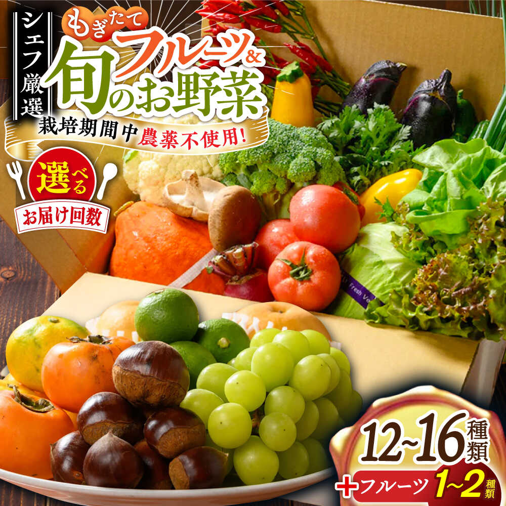 野菜 詰め合わせ【選べるお届け回数】旬の野菜セット× もぎたて フルーツセット | 人気 おすすめ おいしい 栽培期間中農薬不使用 食材 詰め合わせ 果物 詰め合わせ フルーツ 詰め合わせ 野菜セット 大洲市/ヒロファミリーフーズ [AGBX006] 20000円 以上