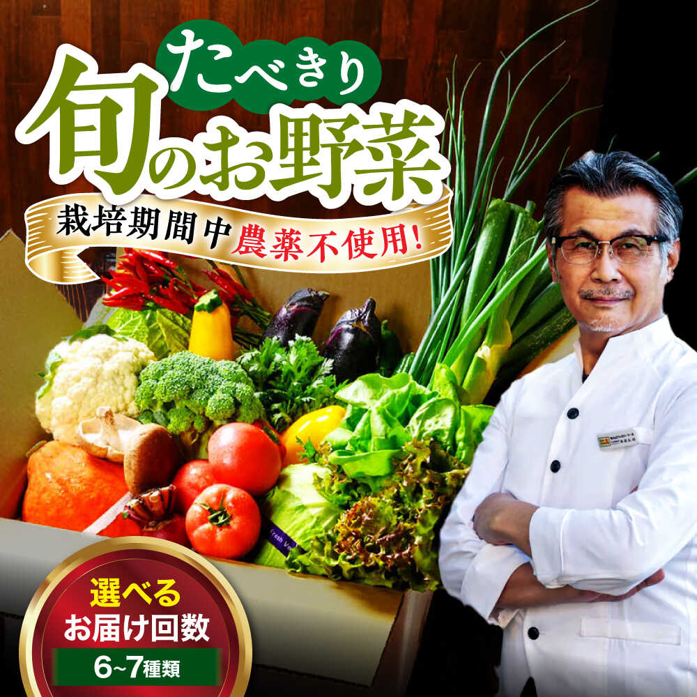 野菜定期便【選べるお届け回数】野菜 6から7種 単身 二人暮らし用 野菜 定期便 3ヶ月 6ヶ月 12ヶ月 野菜セット 野菜定期便 お試し 少量セット 3回定期便 6回定期便 12回定期便 新鮮 おすすめ 人気 贈答 ギフト 大洲市/ヒロファミリーフーズ[AGBX043]