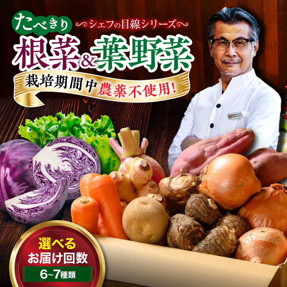 野菜定期便【選べるお届け回数】 根菜×葉野菜 6から7種 単身 二人暮らし用 定期便 3ヶ月 6ヶ月 12ヶ月 野菜セット 根野菜 野菜定期便 お試し 少量セット 3回定期便 6回定期便 12回定期便 新鮮 おすすめ 人気 贈答 大洲市/ヒロファミリーフーズ[AGBX051]