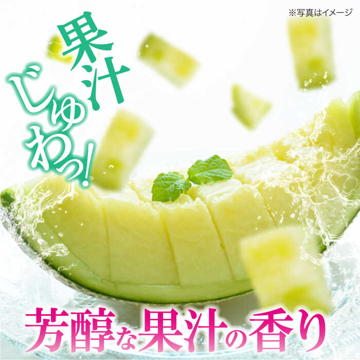 【ふるさと納税】【先行予約】【6月上旬から順次発送】 メロン フェリーチェ 2から3玉 大洲市/梶原農園[AGCX002] メロンめろん 果物 くだもの フルーツ 新鮮 愛媛県産 大洲市産 産地直送 おすすめ 人気 サムネイル2