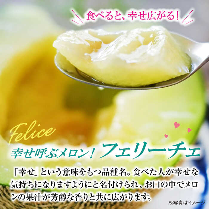 【ふるさと納税】【先行予約】【6月上旬から順次発送】 メロン フェリーチェ 2から3玉 大洲市/梶原農園[AGCX002] メロンめろん 果物 くだもの フルーツ 新鮮 愛媛県産 大洲市産 産地直送 おすすめ 人気 サムネイル3