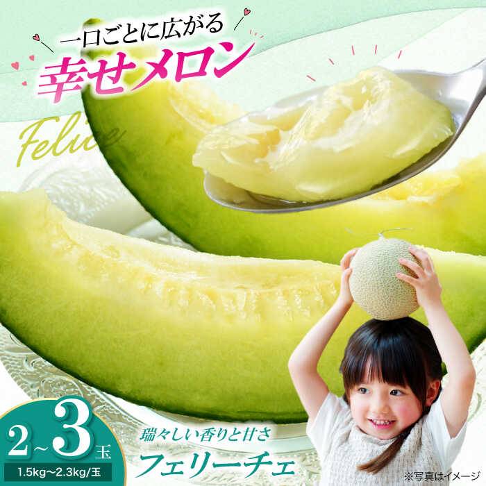 【先行予約】【6月上旬から順次発送】 メロン フェリーチェ 2から3玉 大洲市/梶原農園[AGCX002] メロンめろん 果物 くだもの フルーツ 新鮮 愛媛県産 大洲市産 産地直送 おすすめ 人気
