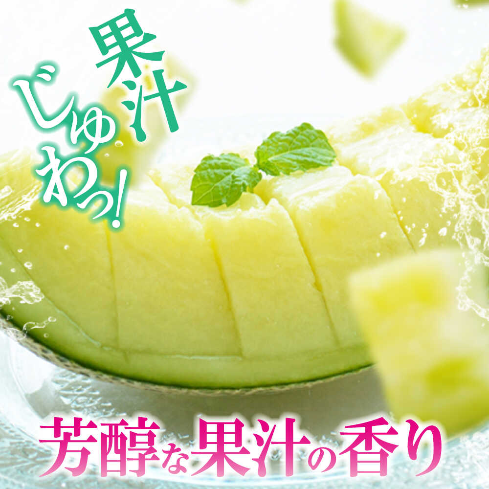 【ふるさと納税】メロン 【先行予約】【2026年6月中旬から順次発送】タカミ 2から3玉 国産 デザート 愛媛県大洲市/梶原農園 メロン[AGCX004] メロンめろん 果物 くだもの フルーツ 新鮮 愛媛県産 大洲市産 おすすめ 人気 お取り寄せ 送料無料 20000以下 20000円以下 サムネイル2