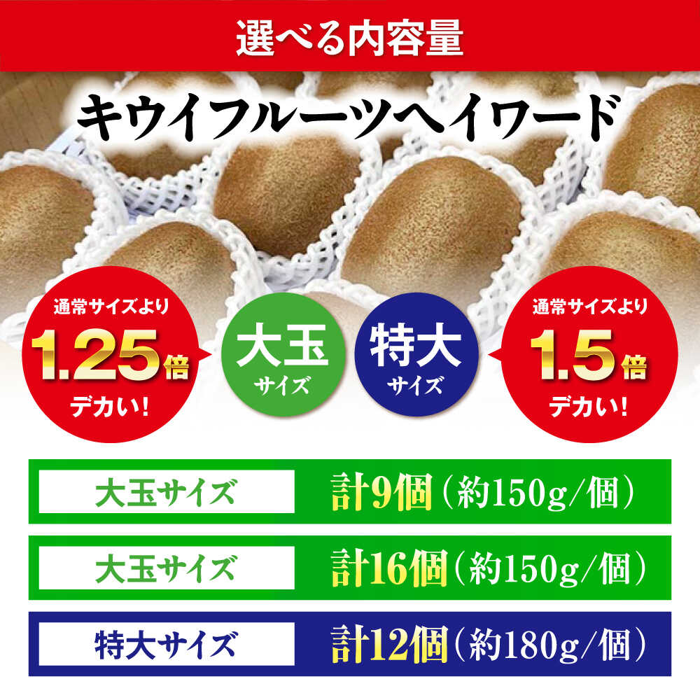 【ふるさと納税】キウイフルーツ 【11月上旬から順次発送】【選べるサイズ】 ヘイワード （大玉〜特大）9〜16個 甘熟パック入 フルーツキャップ付 国産 くだもの フルーツ 大洲市/西村農園[AGDC001] キウイ キウイフルーツ 果物 産地直送 おすすめ 人気 お取り寄せ 送料無料 サムネイル2
