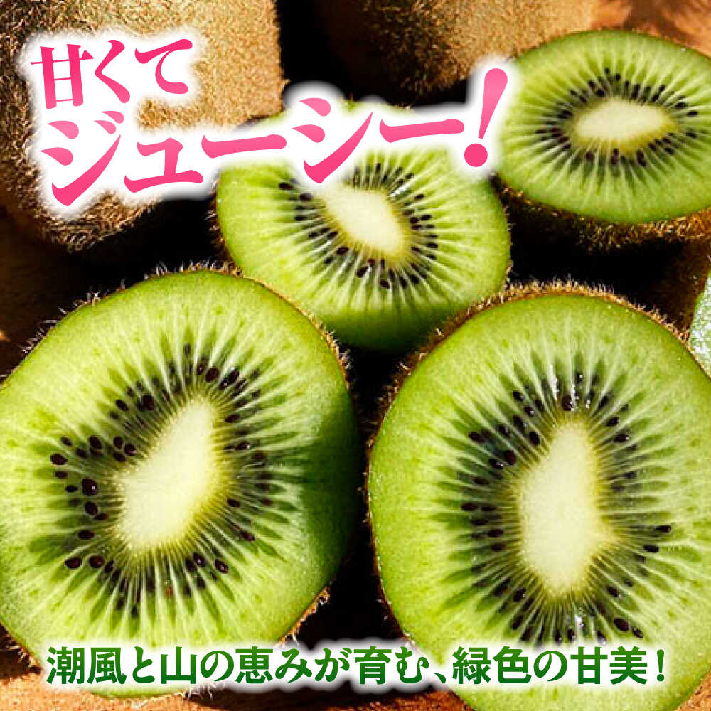 【ふるさと納税】キウイフルーツ 【11月上旬から順次発送】【選べるサイズ】 ヘイワード （大玉〜特大）9〜16個 甘熟パック入 フルーツキャップ付 国産 くだもの フルーツ 大洲市/西村農園[AGDC001] キウイ キウイフルーツ 果物 産地直送 おすすめ 人気 お取り寄せ 送料無料 サムネイル3