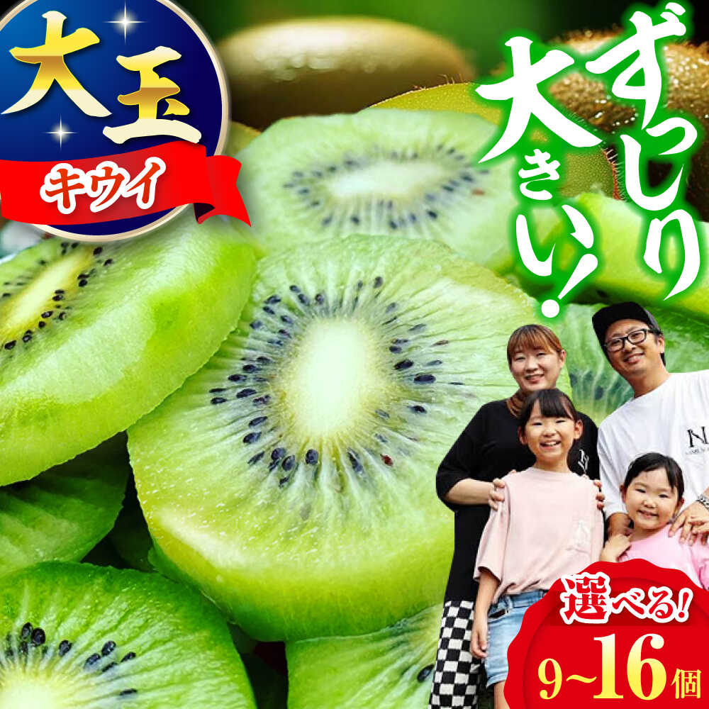 キウイフルーツ 【11月上旬から順次発送】【選べるサイズ】 ヘイワード （大玉〜特大）9〜16個 甘熟パック入 フルーツキャップ付 国産 くだもの フルーツ 大洲市/西村農園[AGDC001] キウイ キウイフルーツ 果物 産地直送 おすすめ 人気 お取り寄せ 送料無料