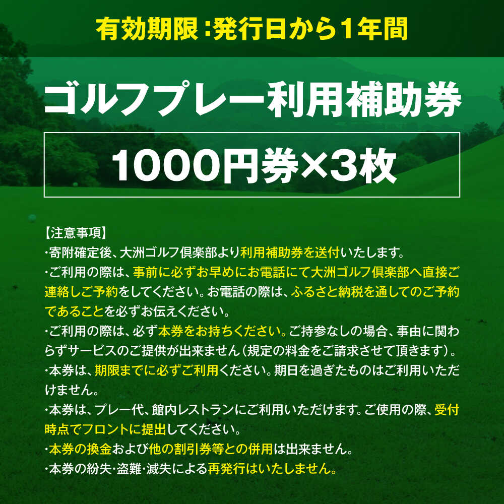 【ふるさと納税】大洲ゴルフ倶楽部 ゴルフプレー利用補助券 1000円券×3枚 愛媛県大洲市/大洲観光株式会社[AGDI001] ゴルフ ゴルフ場 プレー プレー券 観光 旅行 プレーチケット チケット 体験 おすすめ 人気 お取り寄せ 送料無料 贈答 ギフト サムネイル2