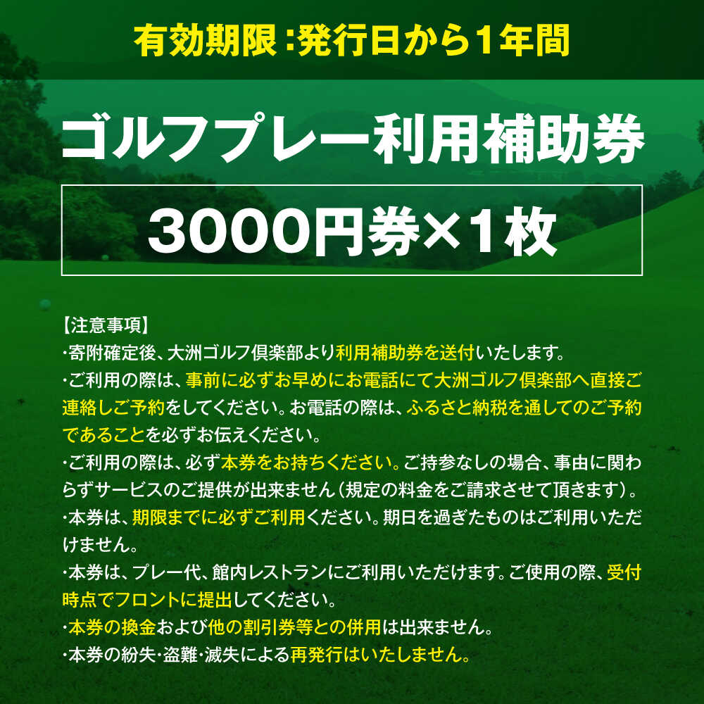 【ふるさと納税】大洲ゴルフ倶楽部 ゴルフプレー利用補助券 3000円券×1枚 愛媛県大洲市/大洲観光株式会社[AGDI002] ゴルフ ゴルフ場 プレー プレー券 観光 旅行 プレーチケット チケット 体験 おすすめ 人気 お取り寄せ 送料無料 贈答 ギフト サムネイル2