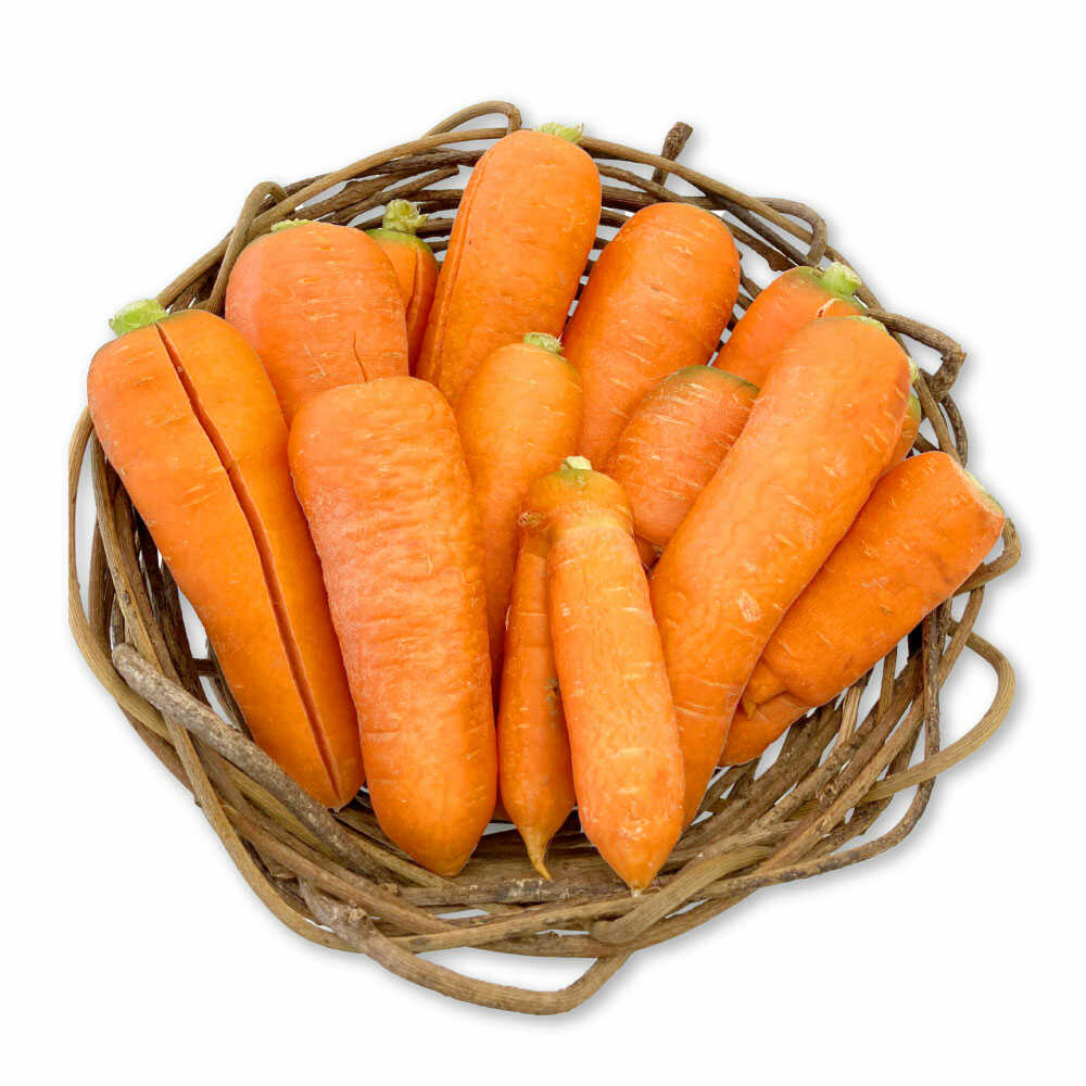 【ふるさと納税】【先行予約】【5月上旬から順次発送】訳アリ にんじん 10kg 愛媛県大洲市/株式会社誠実村[AGER001]にんじん 人参 ニンジン 訳アリ にんじん 人参 ニンジン 訳アリ 訳あり わけあり 野菜 ベジタブル 美味しい おいしい 甘い 栄養 根菜 料理 大容量 10kg - 画像3