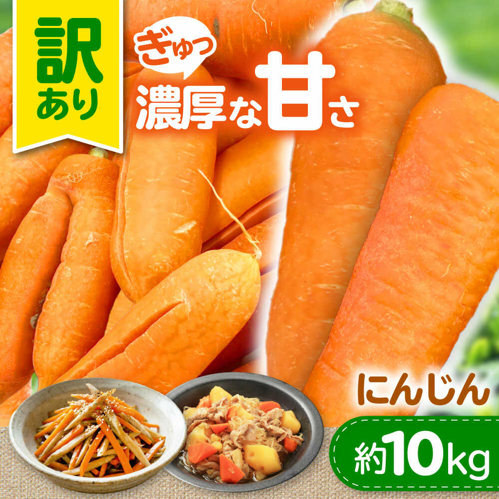 【先行予約】【5月上旬から順次発送】訳アリ にんじん 10kg 愛媛県大洲市/株式会社誠実村[AGER001]にんじん 人参 ニンジン 訳アリ にんじん 人参 ニンジン 訳アリ 訳あり わけあり 野菜 ベジタブル 美味しい おいしい 甘い 栄養 根菜 料理 大容量 10kg