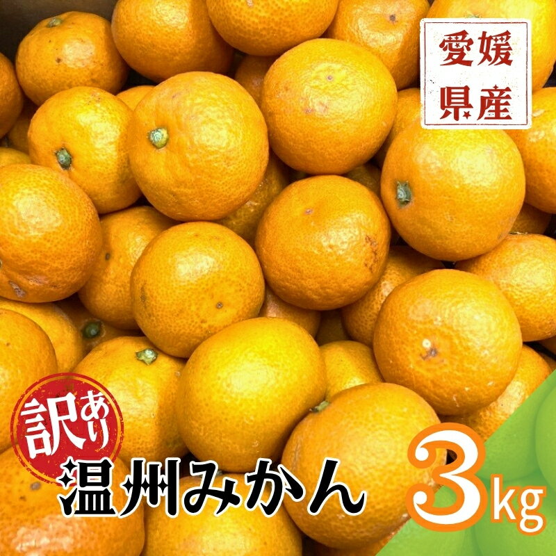 訳あり 温州みかん 3kg ご家庭用 人気 数量限定 先行予約 愛媛 みかん 柑橘 【2025年11月上旬以降発送】｜A109
