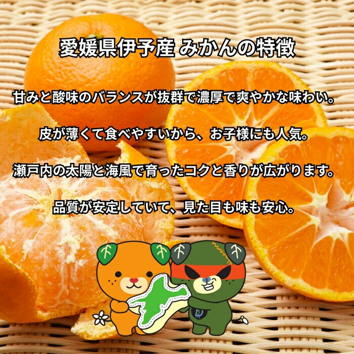 【ふるさと納税】訳あり 伊予のみかん 約3kg サイズミックス ランダム 【2025年11月下旬から順次発送予定】 みかん 愛媛県産 数量限定 先行予約 柑橘 伊予市｜B505 サムネイル2