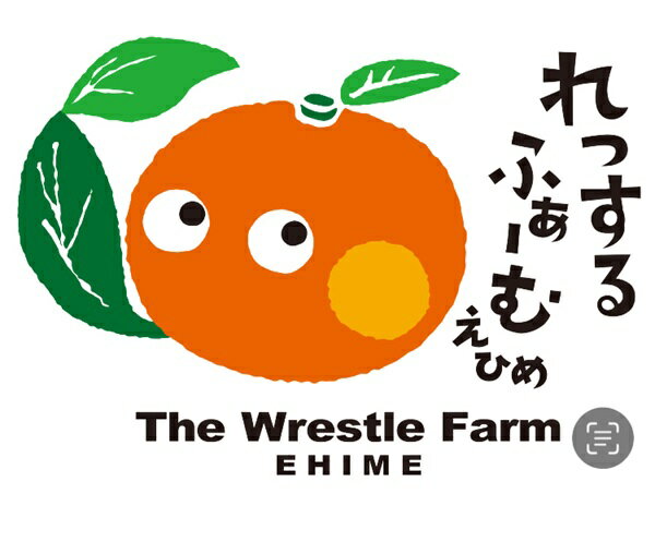 【ふるさと納税】愛果28号 紅まどんなと同一品種 みかん 愛媛県産 【選べる容量】 2kg 3kg 5kg 訳あり ご家庭用 優品 贈答用 先行予約 ＜12月中旬から順次発送予定＞ レッスルファーム 数量限定 おすすめ 美味しい おいしい グルメ フルーツ くだもの 人気 柑橘 伊予市 サムネイル2