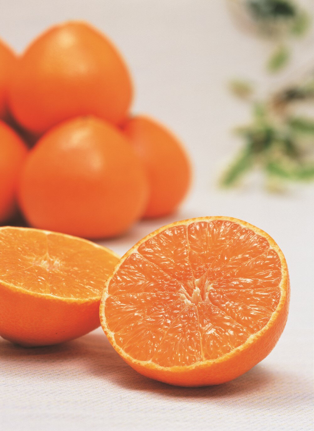 【ふるさと納税】みかん 愛媛 紅まどんな 約3kg L～3Lサイズ 【選べる等級】 赤秀 青秀 化粧箱入り 贈答用 ＜12月から順次発送予定＞ 人気 数量限定 先行予約 柑橘 JA正規品 国産 フルーツ 果物 ギフト用柑橘 フルーツギフト 愛果28号 えひめ中央農協 伊予市 サムネイル2