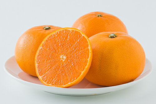 【ふるさと納税】みかん 愛媛 せとか L～3Lサイズ 【選べる容量】 約2.5kg 約5kg バラ詰め ご家庭用 ＜2026年2月中旬から順次発送予定＞ 先行予約 数量限定 人気 柑橘 フルーツ 国産 愛媛県産 伊予市 サムネイル2