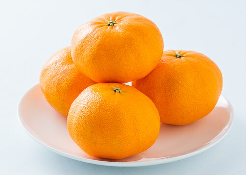 【ふるさと納税】みかん 愛媛 甘平（約2.5kg）L～3Lサイズ 人気 数量限定 先行予約 柑橘 伊予市｜B195 サムネイル2