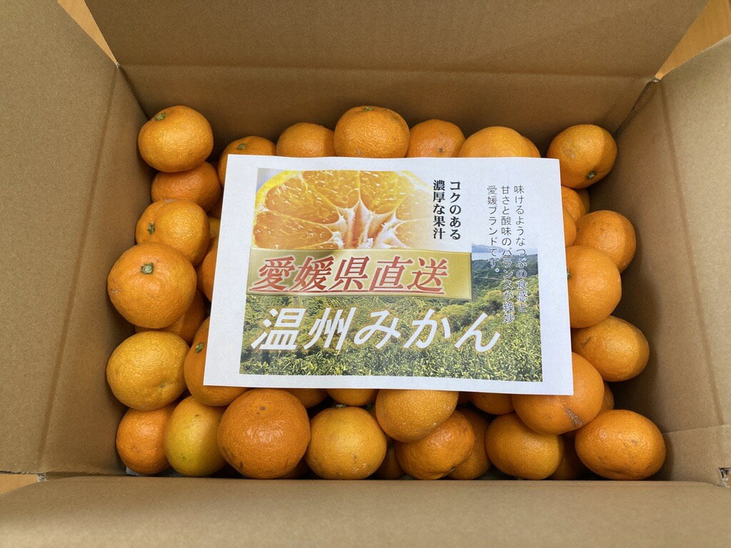 【ふるさと納税】訳あり 温州みかん 5kg ご家庭用 人気 数量限定 先行予約 愛媛 みかん 柑橘 【2025年11月上旬以降発送】｜B149 サムネイル2