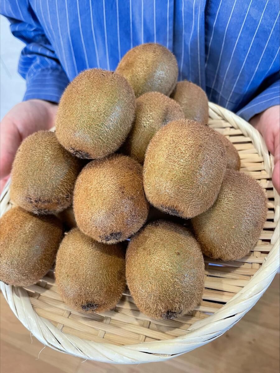 【ふるさと納税】キウイ 2.5kg 愛媛 国産キウイフルーツ ヘイワード 先行予約 【2026年11月から順次発送予定】 数量限定 伊予市｜A20 - 画像2