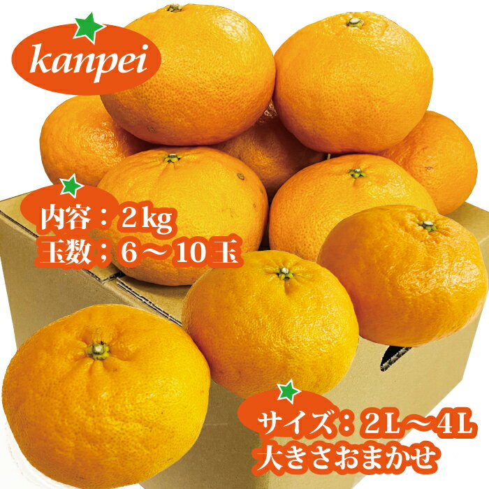 【ふるさと納税】訳あり 甘平 家庭用 みかん 愛媛 約2kg 人気 サイズミックス 柑橘 伊予市｜B234 サムネイル3