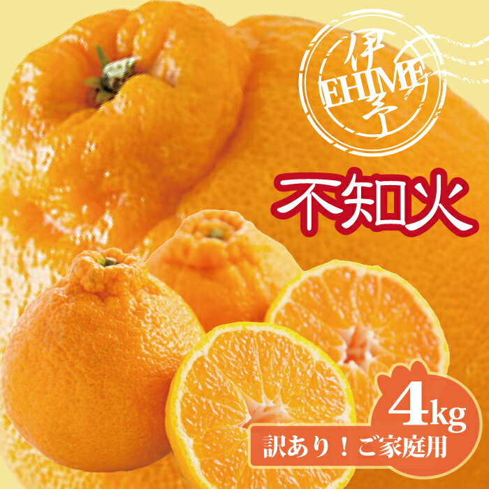 不知火 訳あり しらぬい 約4kg ご家庭用 みかん 愛媛 人気 サイズミックス 柑橘 伊予市｜B236