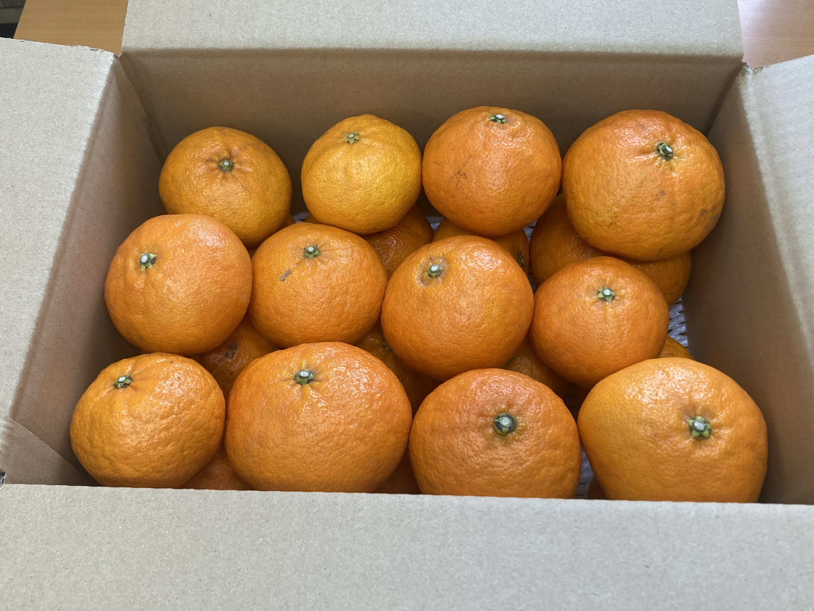 【ふるさと納税】訳あり 甘平 5kg ご家庭用 人気 数量限定 先行予約 みかん 愛媛 柑橘 【2026年1月下旬以降順次発送】 | B151 サムネイル2