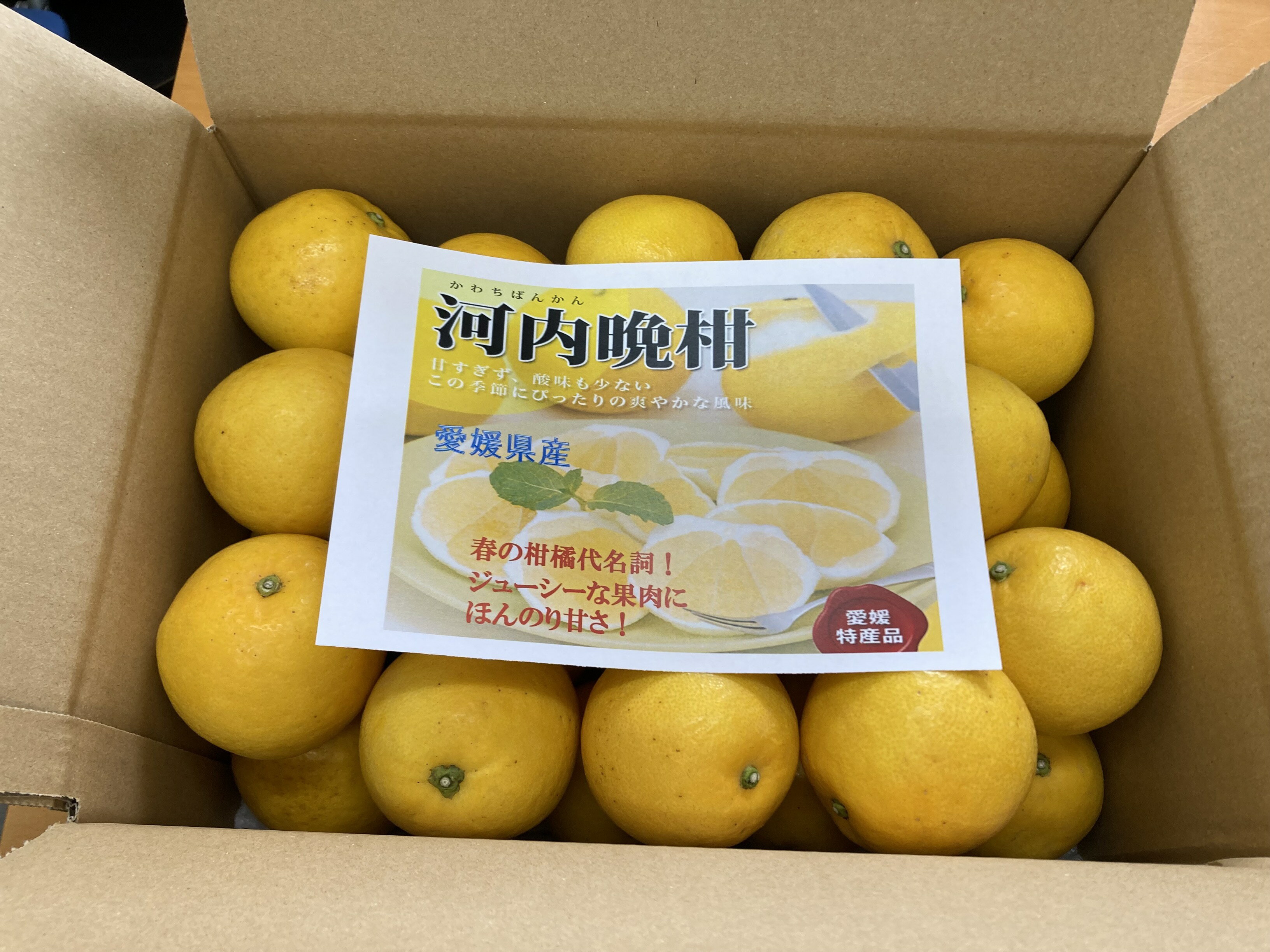 【ふるさと納税】訳あり 河内晩柑 8kg ご家庭用 人気 【2026年4月以降順次発送】かわちばんかん 数量限定 先行予約 さっぱりした甘味 みかん 柑橘 蜜柑 くだもの フルーツ 国産 愛媛 伊予市｜B150 サムネイル3